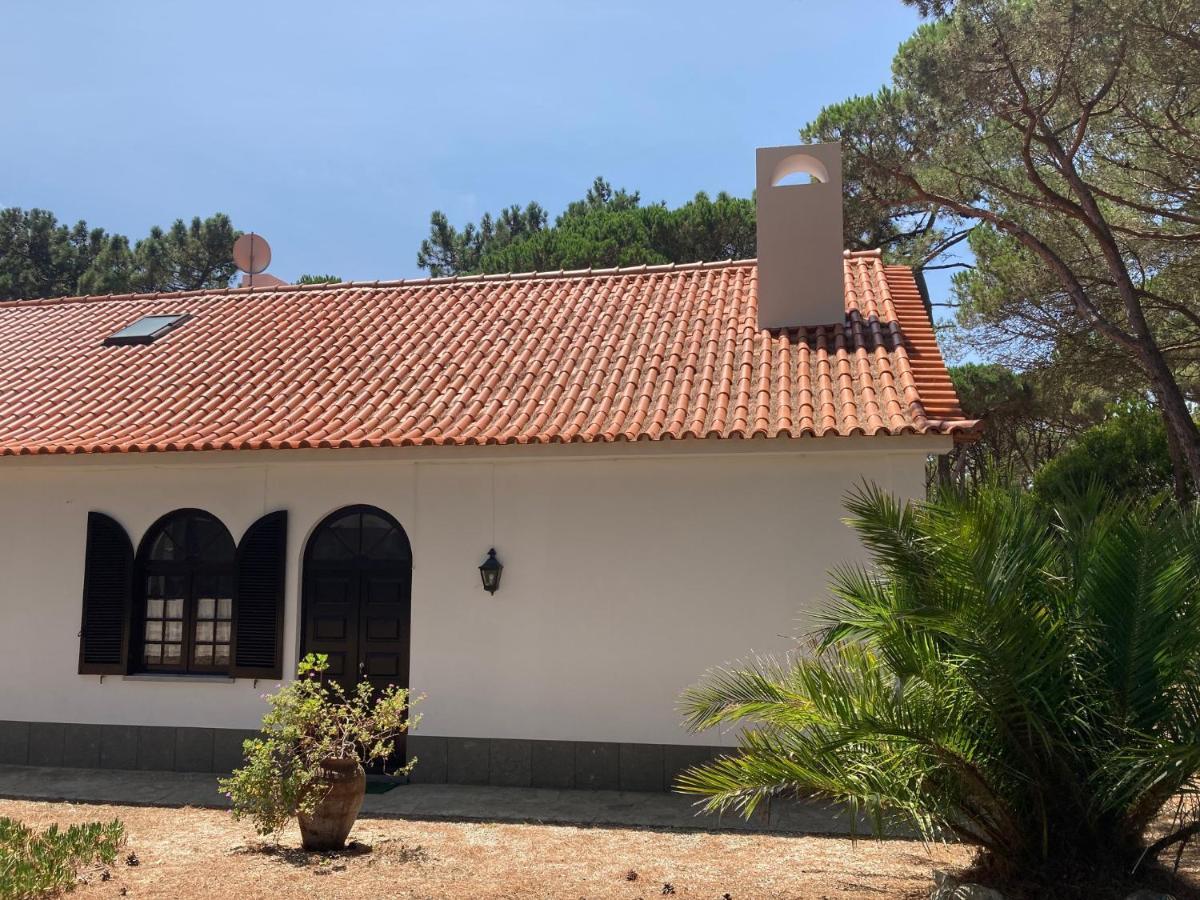 Moradia No Pinhal Com Piscina - Espaco E Privacidade Para As Suas Ferias! Сінтра Екстер'єр фото